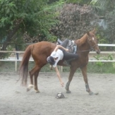 horseball