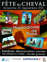 affichefeteducheval2011